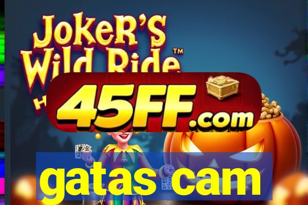 gatas cam